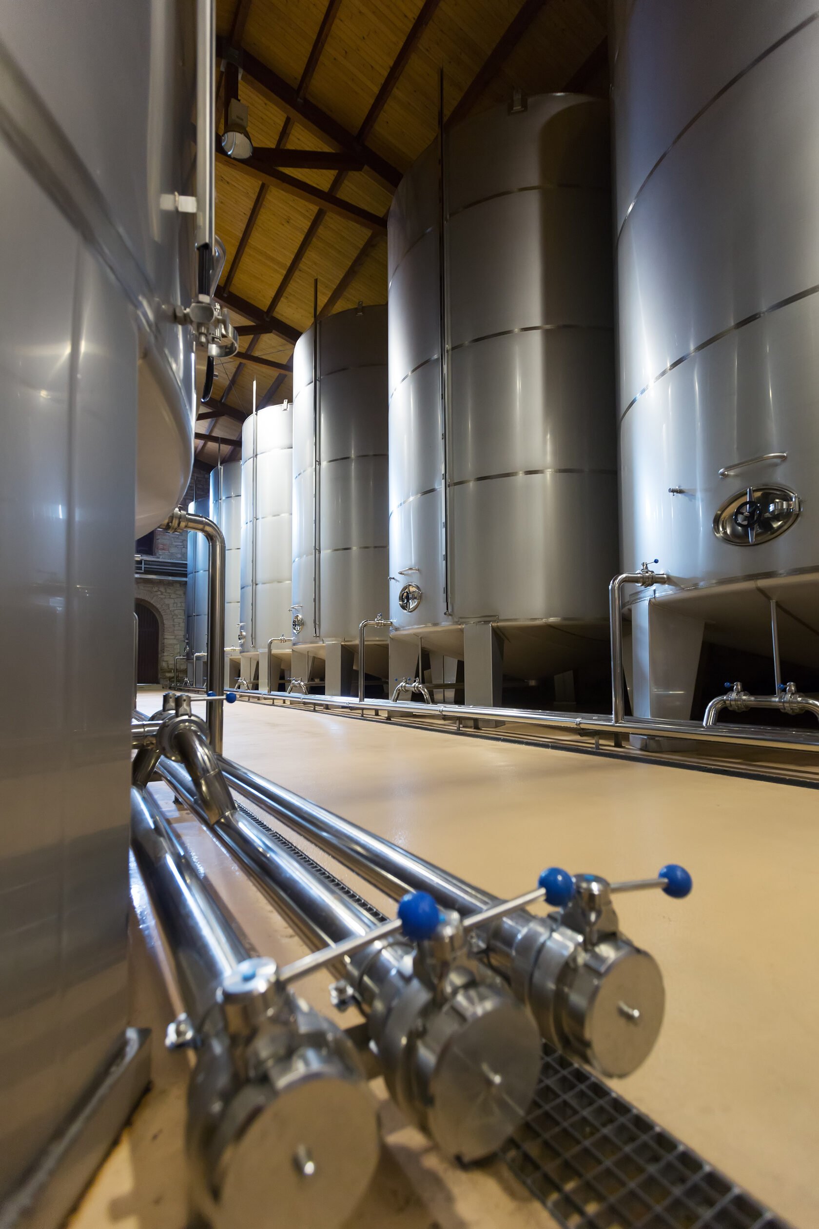Industrial fermentation tanks for beverage and supplement ingredients